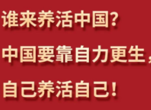 习言道丨习近平为何再答“谁来养活中国”？
