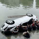 一个、两个、三个……危急时刻他们来了!