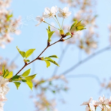 今天中东部晴暖延续 “全能型”冷空气发力暖意将中断