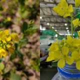 新华全媒+丨一线直击上海方舱医院 听他们讲述心声