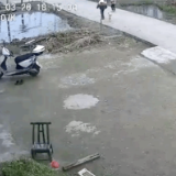 爷爷,爷爷!赶紧,赶紧!