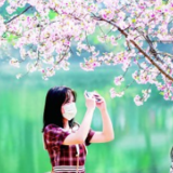 赏花经济，如何玩出新“花”样