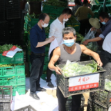 “守沪者联盟”丨江西峡江：10吨爱心蔬菜驰援上海