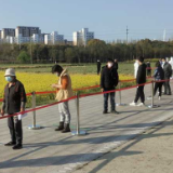 上海宝山一村支书的抗疫承诺: 尽最大努力,护村民健康