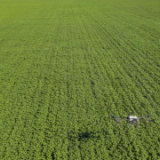 新疆种个棉花,居然这般壮观!