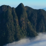 习近平海南行丨走进海南热带雨林国家公园五指山片区