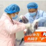 凡人微光丨热“血”支援 “湘沪”帮助