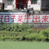 焦点访谈丨乡村“耕耘者” 乡亲“主心骨”——我们村的新能人