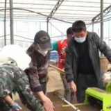 吉林各地采取多种措施助力春耕 解除农户后顾之忧