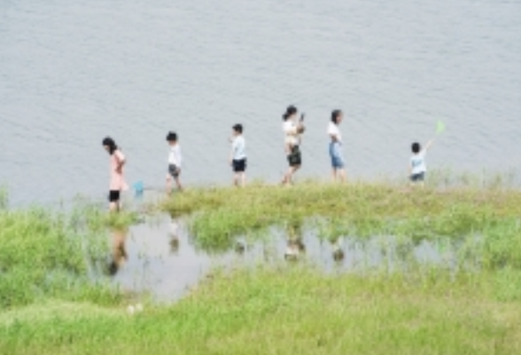 到柳林江露营去，躺在河滩上看紫色花海