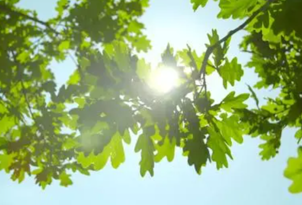 预计5月1日起全省天气转好