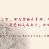 习声回响丨赓续红色精神 桂北小村葡萄产业正兴