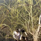 凡人微光丨这一跳,救了三个人