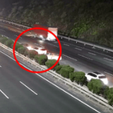 这一声吼，太及时了！