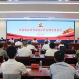 湖南省统计局召开全省统计系统全面从严治党工作视频会议