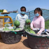 上海：商贸活动逐步恢复 “烟火气”渐渐回归