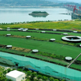 图解丨你知道吗？这个“国宝”曾是恐龙的“小伙伴”