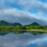 新闻调查:中国这十年 守护湿地