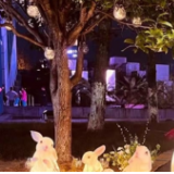 长沙:图书馆里过中秋 全家老少齐欢乐