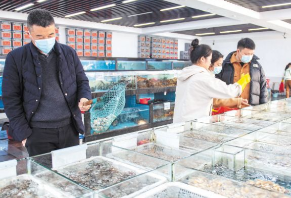 长沙马王堆海鲜水产销售回暖 ，基围虾、牛蛙、鲍鱼、多宝鱼、鲈鱼等明星产品受欢迎