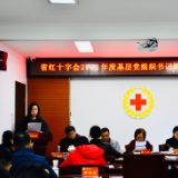 湖南省红十字会召开2021年度基层党组织书记抓党建述职评议会