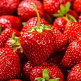 湖南草莓提质增效技术模式