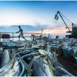 李克强对全国畜牧渔业工作会议作出重要批示强调 全面提升畜禽水产品增产保供能力 更好适应人民群众生活水平不断提高的消费需要 胡春华出席会议并讲话