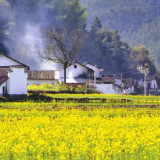 住房和城乡建设部：乡村建设行动将重点从五方面开展工作