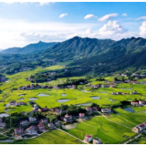 种植再生稻超过10万亩 每年增产粮食2万多吨 湖南双峰县：再生稻量质齐增 为农户增产添收