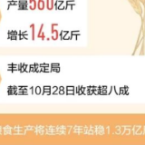 全国秋收进度已超八成,粮食生产将迎十八连丰(“十四五”,我们这样开局起步)