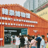 一根辣条的走红之路