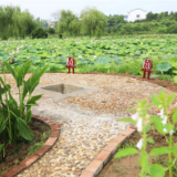 民之“方便” 方便于民 ——聚焦湖南衡阳厕所革命