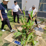 改厕“改”在心坎上 ——湖南省衡阳市大力推进厕所革命工作纪实