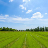 “十四五”，农业绿色发展有了“硬杠杠”