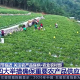 关注农产品保供 | 四大举措确保重要农产品稳产保供