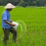 13部门部署做好今后一段时间国内化肥保供稳价