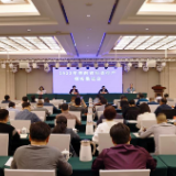 湖南:牢牢扛稳油料大省政治责任,推动油菜产业高质量发展