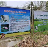 联防联控 螺口夺粮——湖南省福寿螺防控工作如火如荼