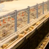 农业农村部要求各地农业农村部门统筹疫情防控和畜牧业正常产销秩序