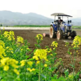 多部门政策措施组合实施 全力保障春耕农资供应