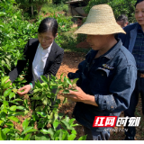 湖南生物机电职院科技特派员赴浏阳助力农忙生产
