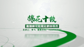 棉花十技 | 直播棉花轻简化栽培技术