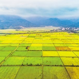 湘潭：多措并举高质量推进高标准农田建设