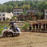 全程机械化+一站式综合农事服务 邵东着力破解丘陵田地全程机械化难题