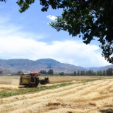 强农惠农重在提高科技贡献率