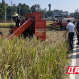 首创！湖南省农业科学院农业装备研究所再生稻稻穗收获机完成下地试验