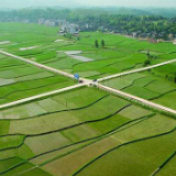 湘潭雨湖：“双引双带”助推高标准农田建设