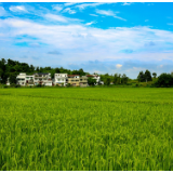 农村社会事业稳步发展