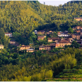 湖南省村级集体经济收入“空壳村”清零