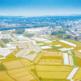 湖南打造优质粮油工程升级版